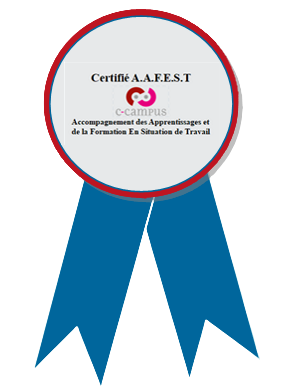 MEDAILLE_AFEST-removebg-preview